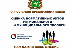 Опрос бизнеса по тематике «Оценка нормативных правовых актов регионального и муниципального уровня»