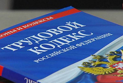 Изменения в работе ГИТ в связи с вступлением в силу 248-ФЗ