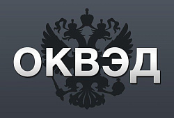 Как поменять код ОКВЭД в ЕГРЮЛ (ЕГРИП)
