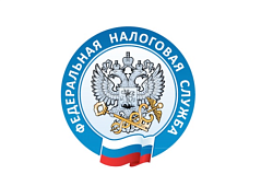 Налоговые органы региона проводят еженедельные «открытые классы» и консультируют по телефону по вопросам применения онлайн-касс