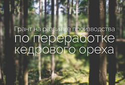 По итогам I кв. 2015 года Фондом развития малого и среднего предпринимательства ЗАТО Северск предоставлены гранты на реализацию трех проектов  субъектов малого и среднего бизнеса