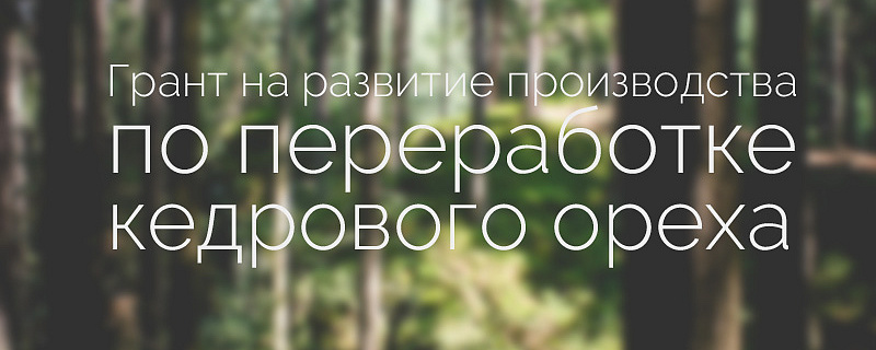 По итогам I кв. 2015 года Фондом развития малого и среднего предпринимательства ЗАТО Северск предоставлены гранты на реализацию трех проектов субъектов малого и среднего бизнеса