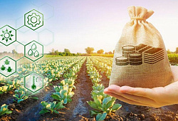 В 2024 году начинающим фермерам выделят 10 млн рублей