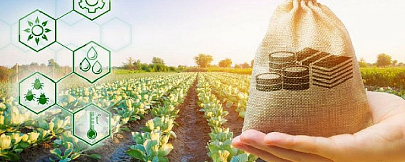 В 2024 году начинающим фермерам выделят 10 млн рублей