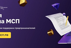 Цифровая платформа МСП