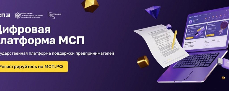 Цифровая платформа МСП