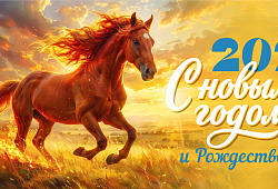 С наступающим Новым годом!