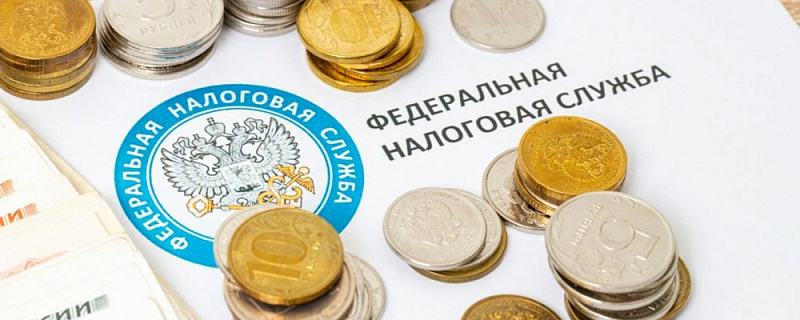 ФНС рекомендует ускорить разблокировку счетов через свой сайт