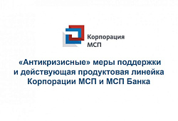 В мае 2020 года прошел вебинар по антикризисным и действующим мерам поддержки АО Корпорации МСП, АО МСП Банк
