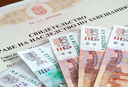 В России появилась новая организационно-правовая форма