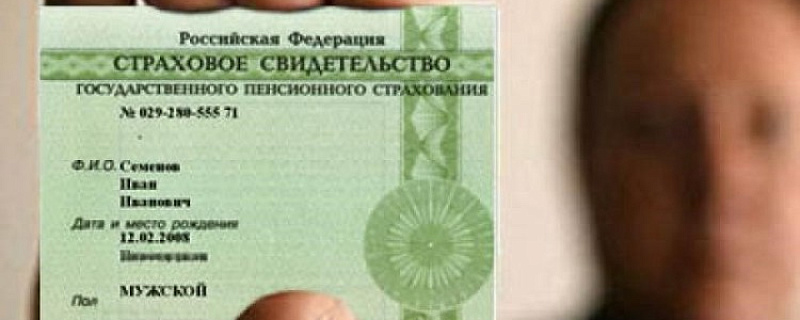 Как действовать работодателям после отмены карточки СНИЛС?