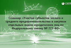 28 сентября прошёл семинар «Участие субъектов МСП в закупках отдельных видов юридических лиц по федеральному закону № 223-ФЗ»