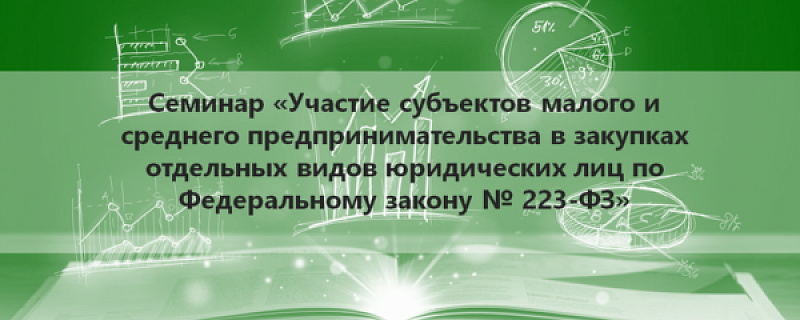 28 сентября прошёл семинар «Участие субъектов МСП в закупках отдельных видов юридических лиц по федеральному закону № 223-ФЗ»