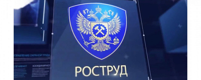 Плановых проверок Роструда в 2023 году будет минимум