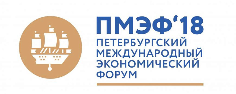 Участие молодых предпринимателей в Международном Петербургском экономическом форуме!